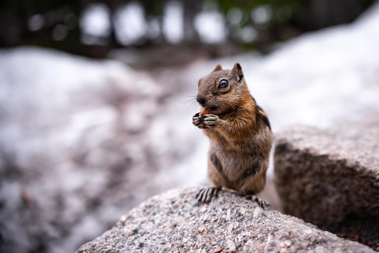 My Nut!